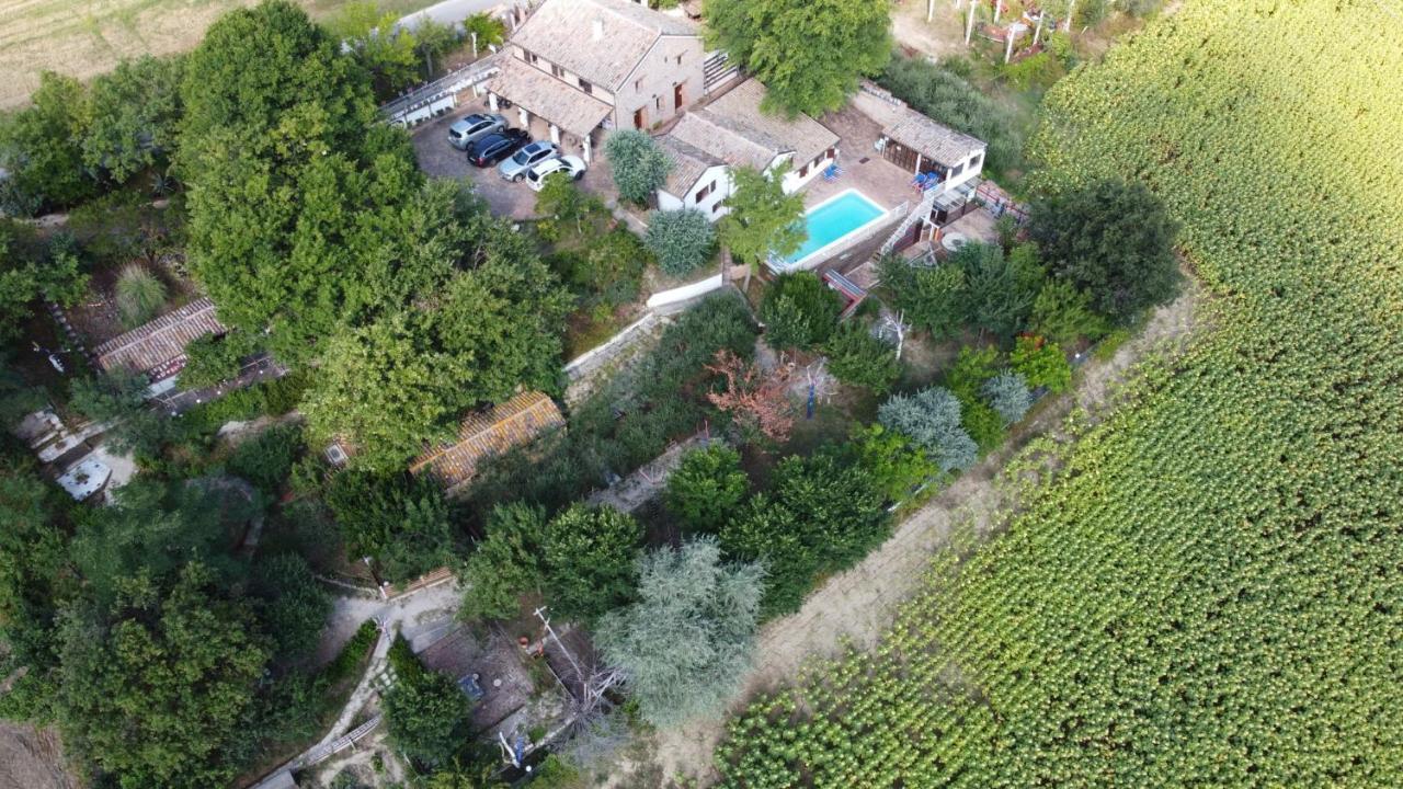 Barbagianni Villa Senigallia Exterior foto