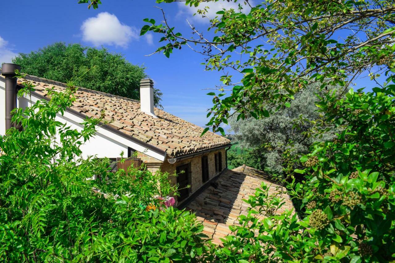 Barbagianni Villa Senigallia Exterior foto